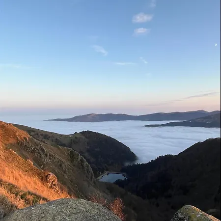Le Cocon Du Brabant - A 6km Des Pistes *