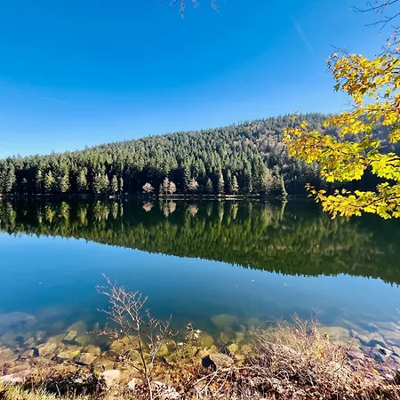 아파트 Le Cocon Du Brabant - A 6km Des Pistes