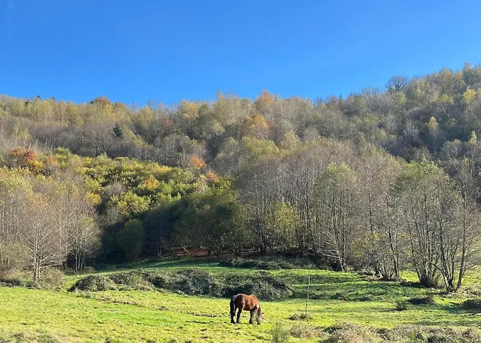 Apartmán Le Cocon Du Brabant - A 6km Des Pistes *