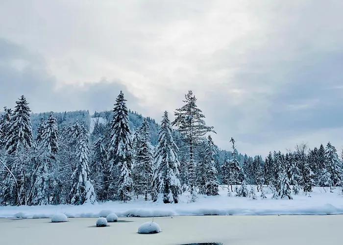 Apartmán Le Cocon Du Brabant - A 6km Des Pistes