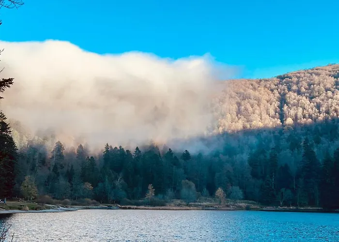 Le Cocon Du Brabant - A 6km Des Pistes Apartmán
