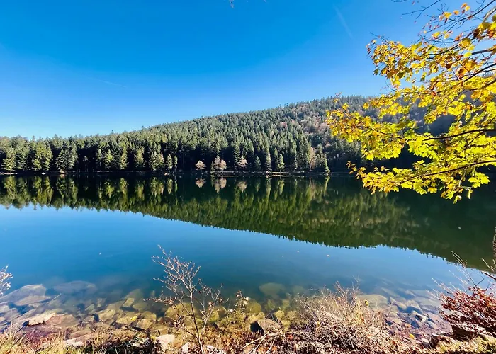 Apartmán Le Cocon Du Brabant - A 6km Des Pistes